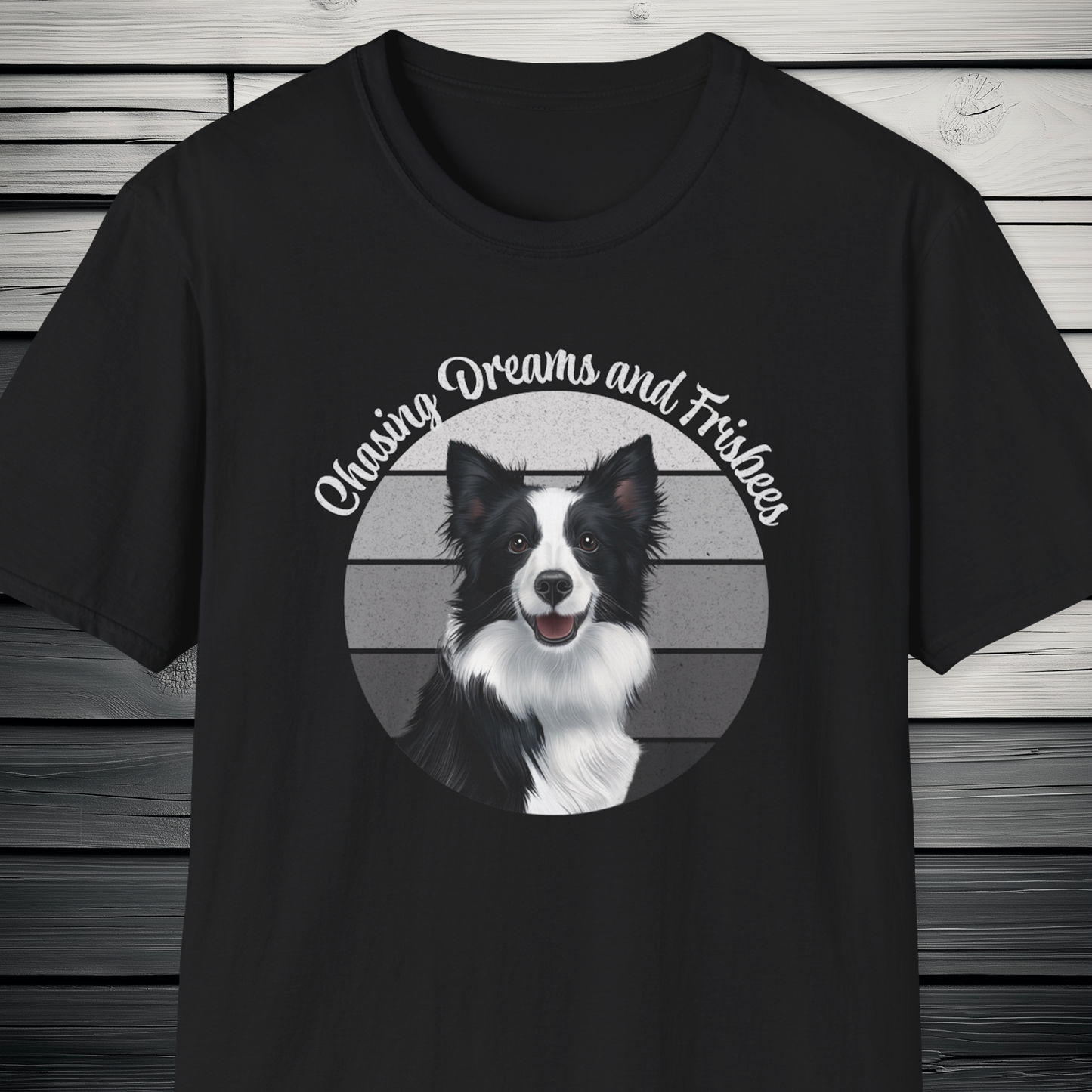 Border Collie Chasing Dreams and Frisbees