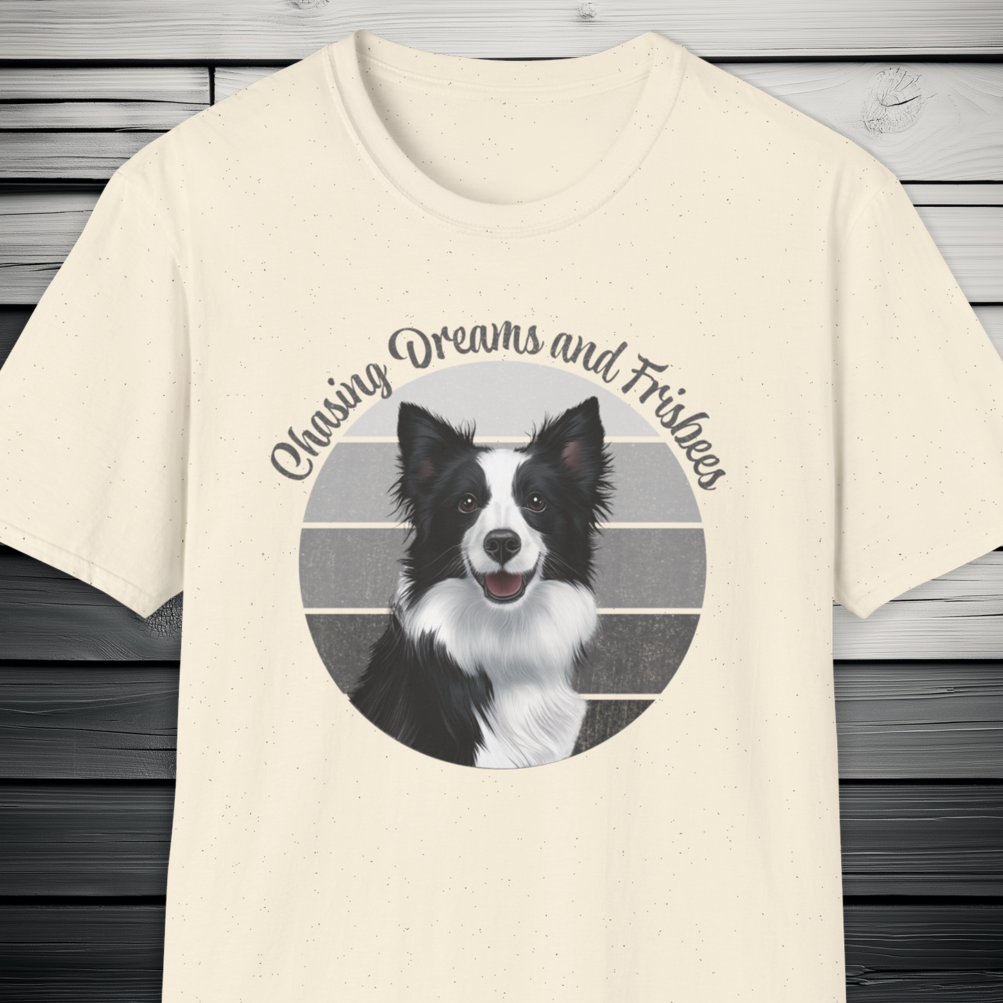 Border Collie Chasing Dreams and Frisbees