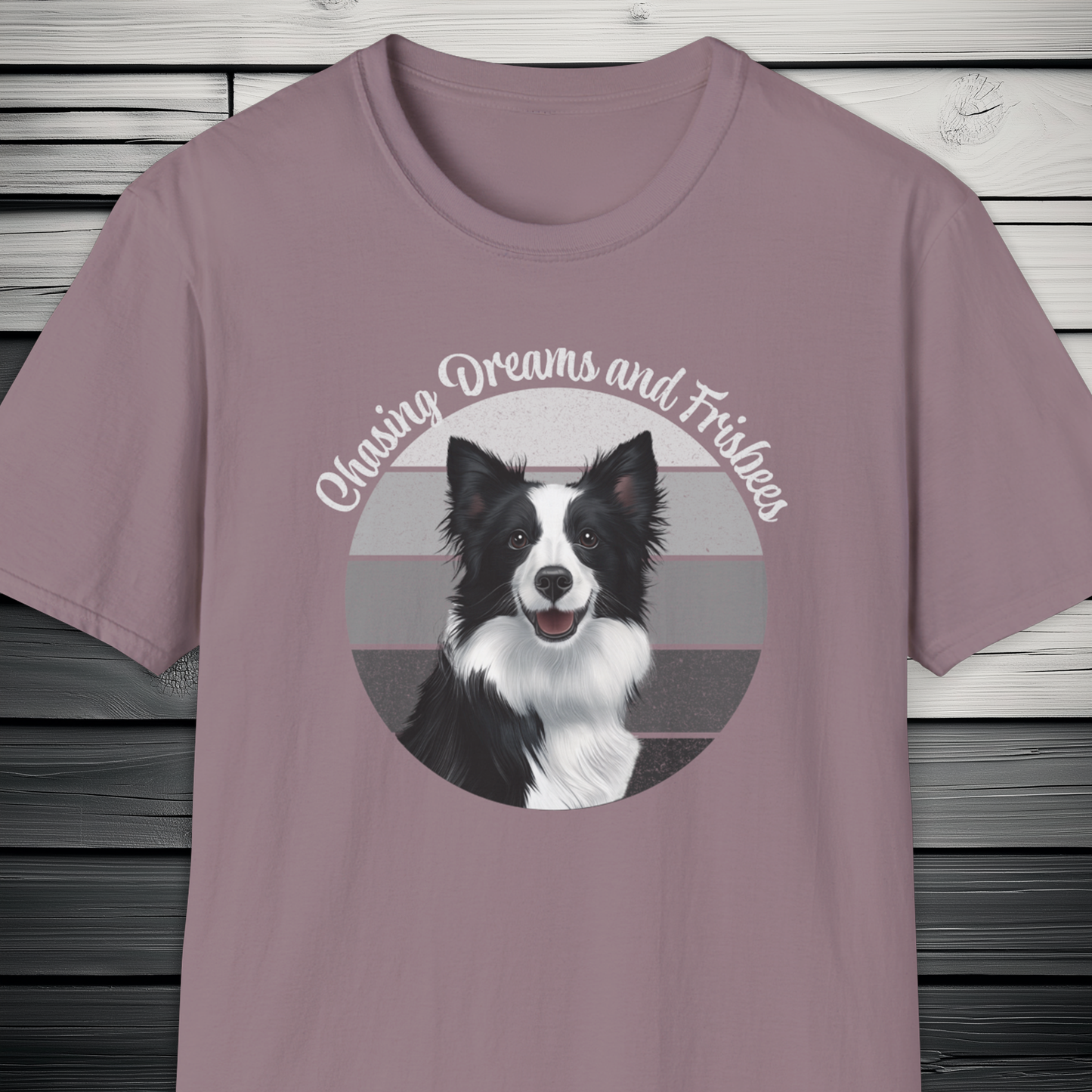 Border Collie Chasing Dreams and Frisbees