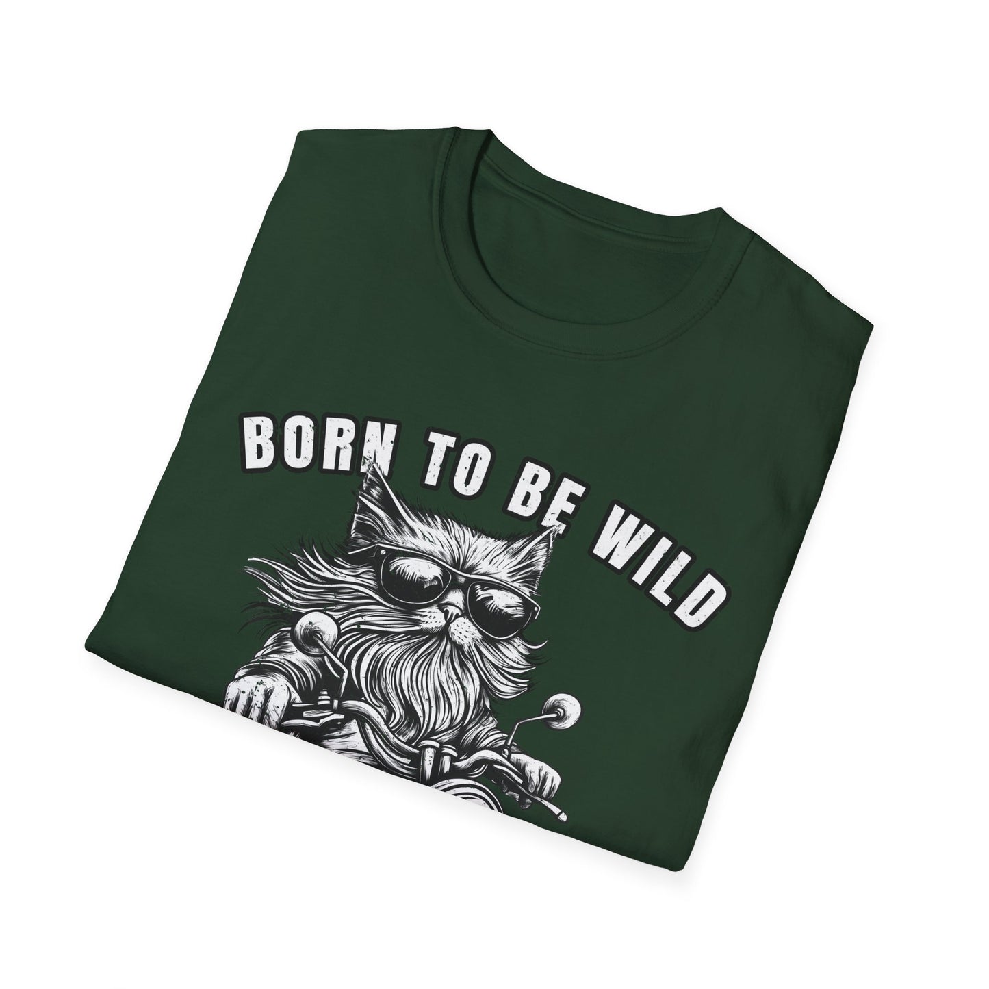 Born to Be Wild and Fluffy Cat Biker