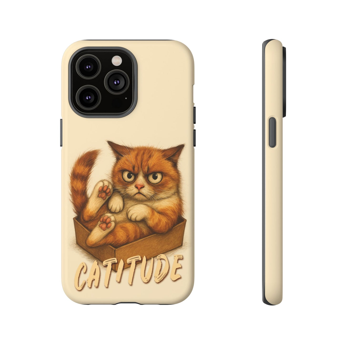 Grumpy Ginger Cat Phone Case CATITUDE in a Box