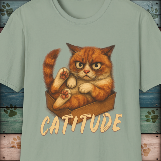 Catitude Grumpy Ginger Cat in a Box Funny Cat TShirt