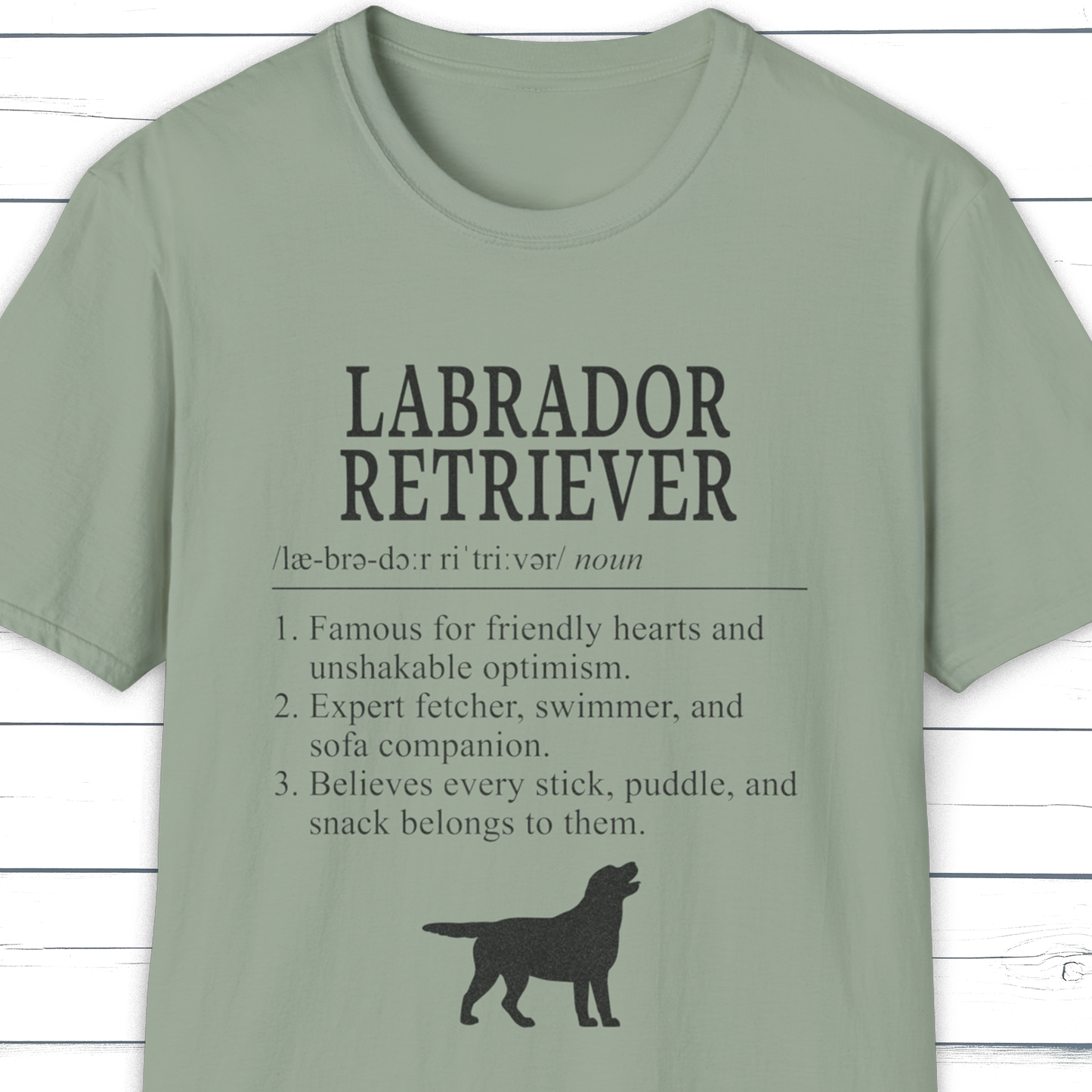 Labrador Retriever Definition T-Shirt Dictionary Dogs Collection