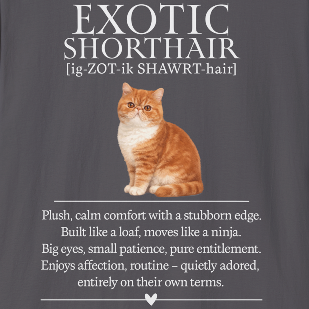 Exotic Shorthair Definition T-Shirt – Cat Chronicles