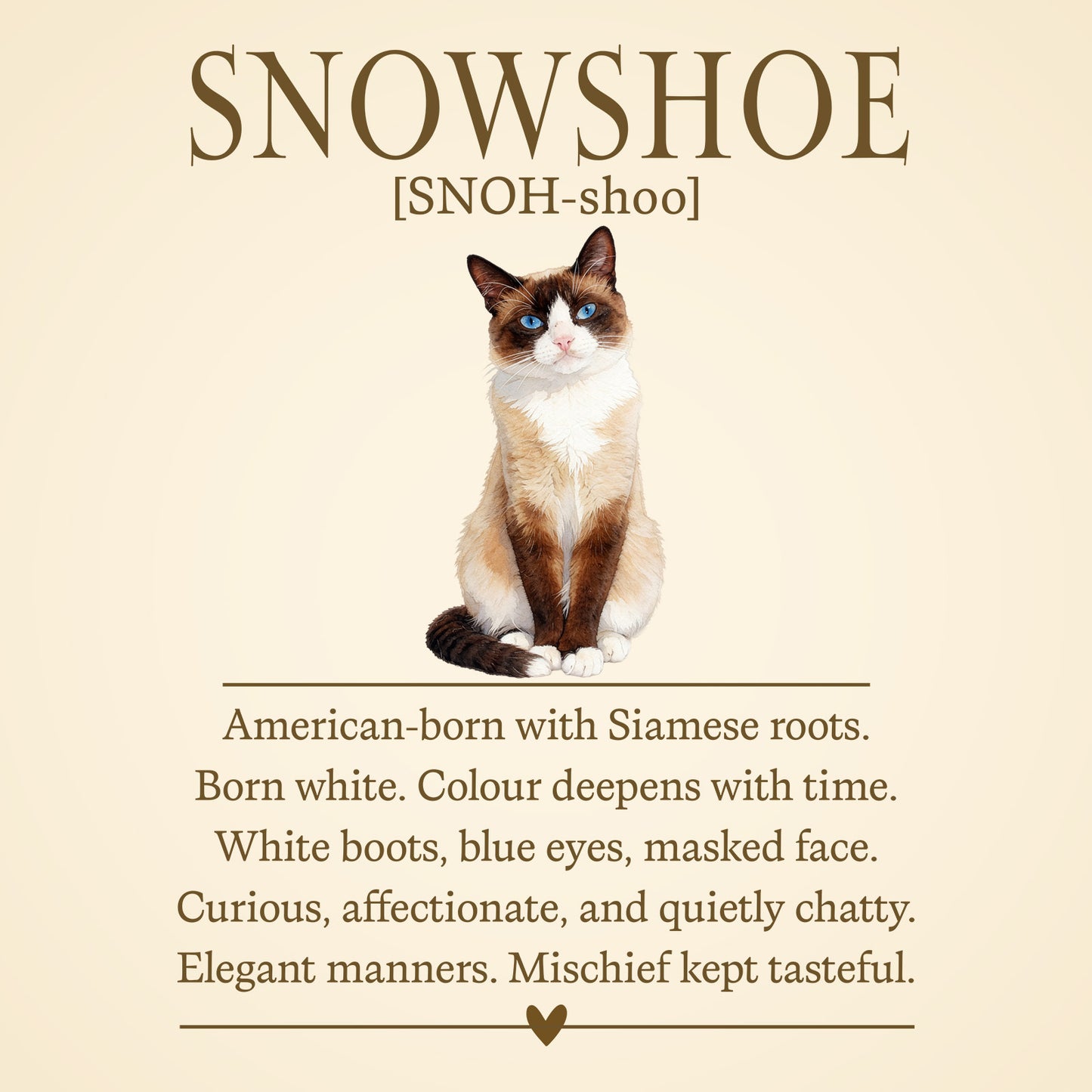 Snowshoe Definition T-Shirt – Cat Chronicles
