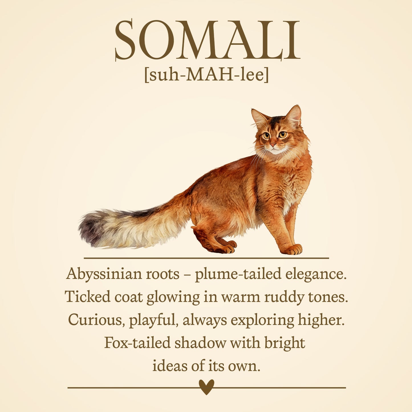 Somali Definition T-Shirt – Cat Chronicles