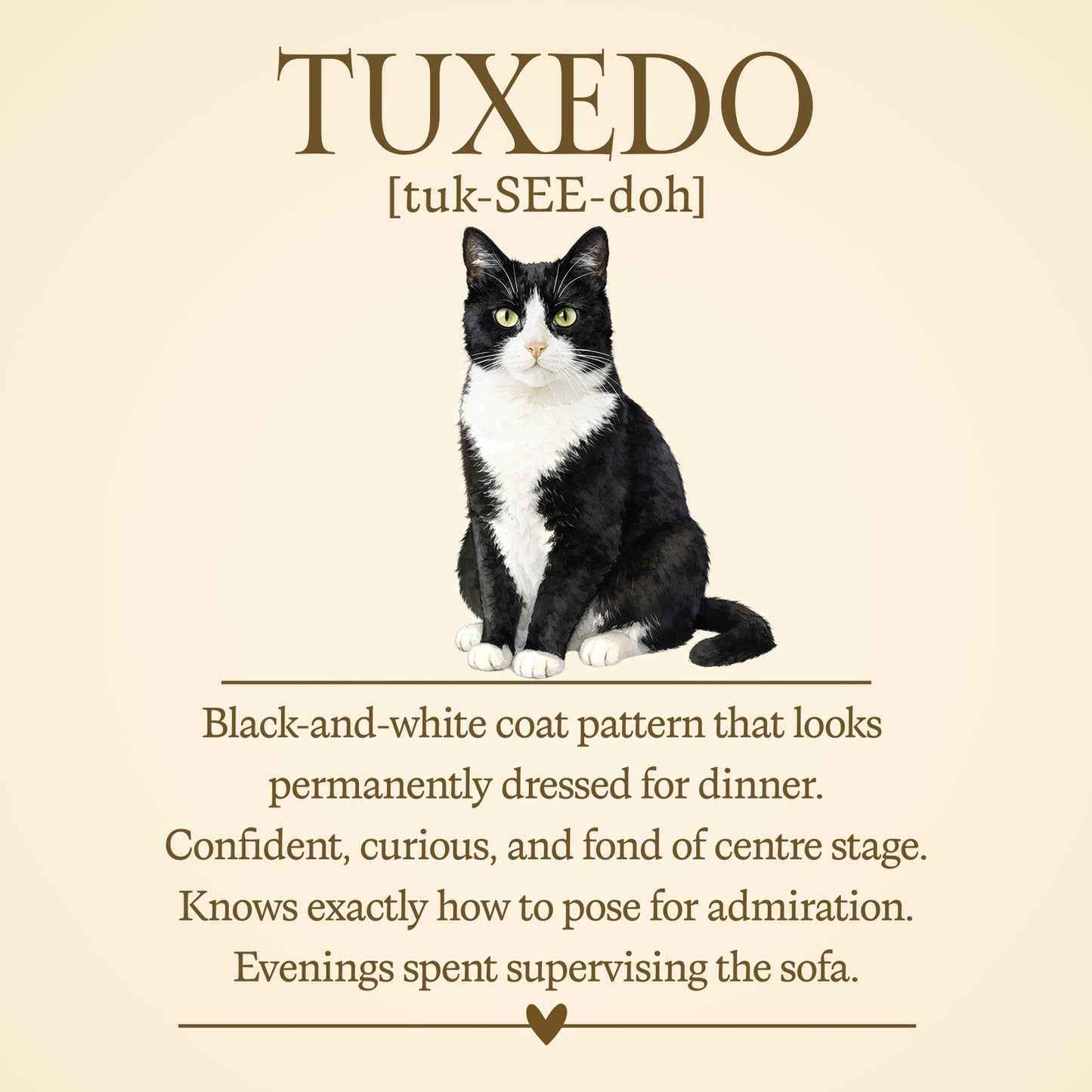 Tuxedo Cat Definition T-Shirt – Cat Chronicles