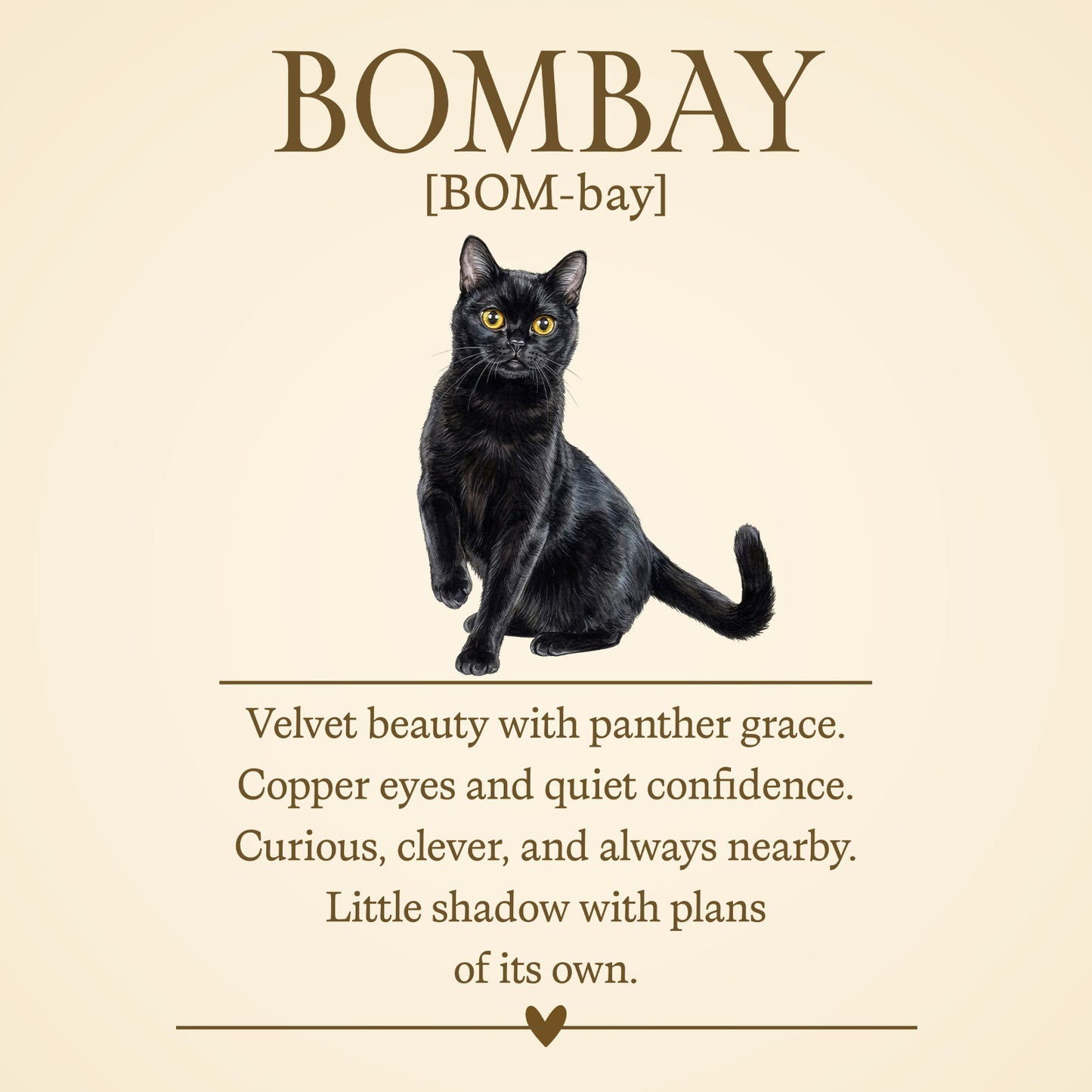 Bombay Definition T-Shirt – Cat Chronicles