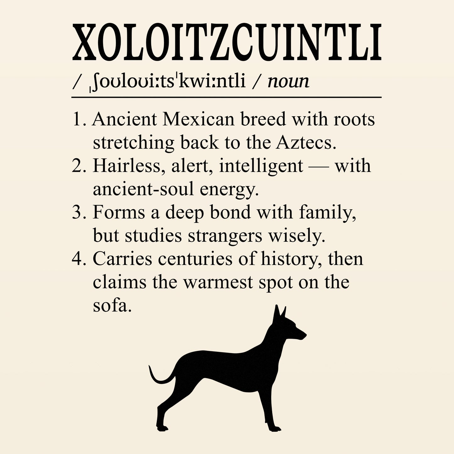 Xoloitzcuintli Definition T-Shirt Dictionary Dogs Collection