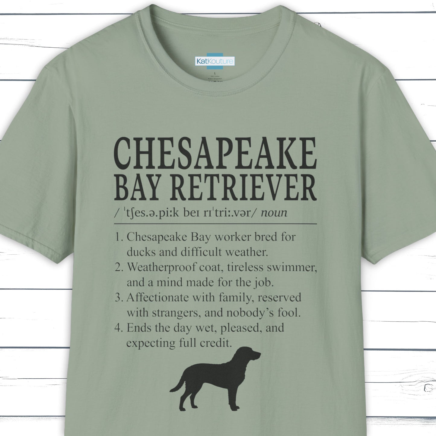 Chesapeake Ray Retriever Definition T-Shirt Dictionary Dogs Collection