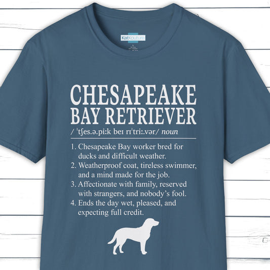 Chesapeake Ray Retriever Definition T-Shirt Dictionary Dogs Collection
