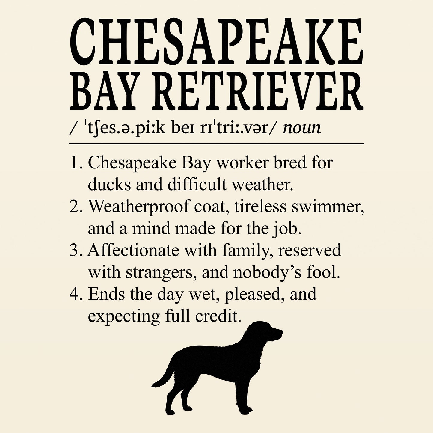 Chesapeake Ray Retriever Definition T-Shirt Dictionary Dogs Collection
