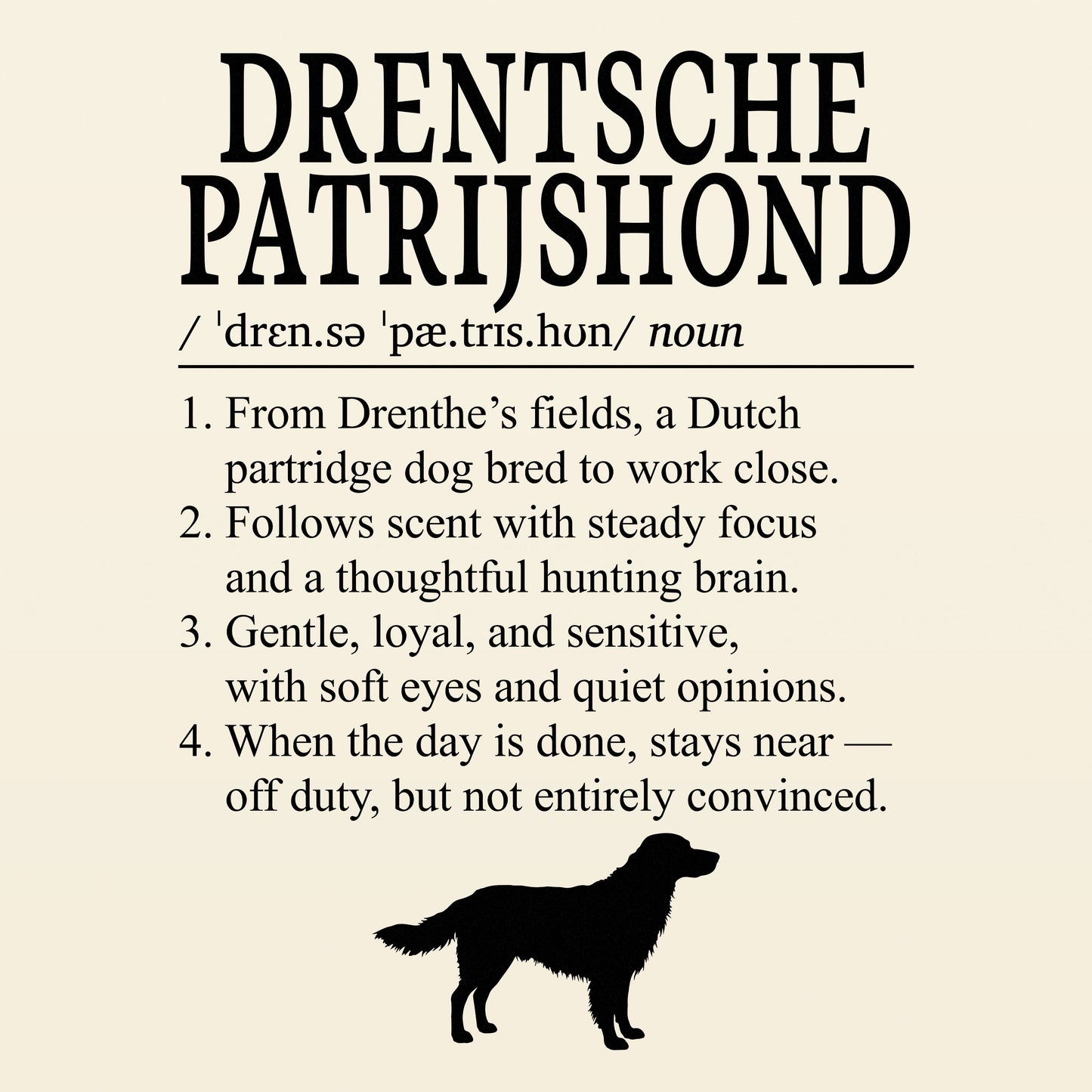 Drentsche Patrijshond Definition T-Shirt Dictionary Dogs Collection