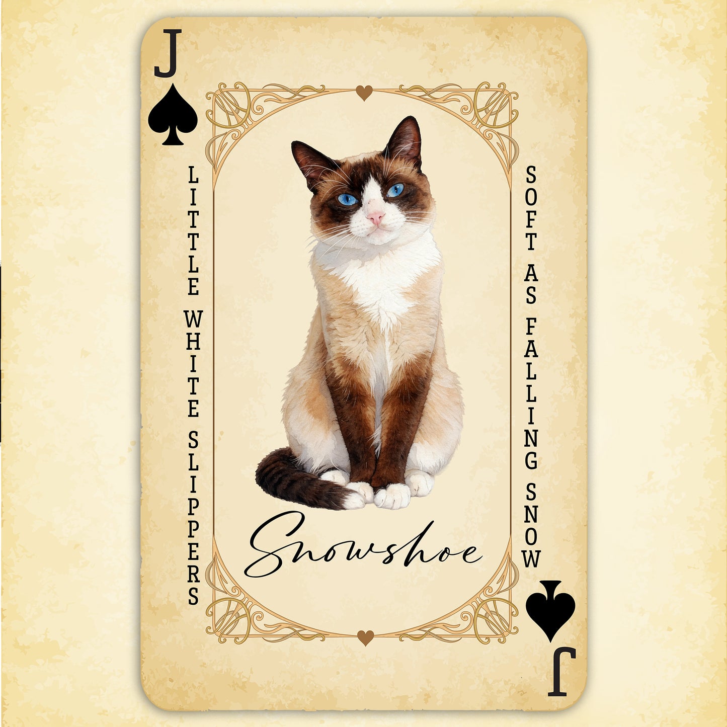 The Snowshoe Jack – House of Cat Cards T-Shirt