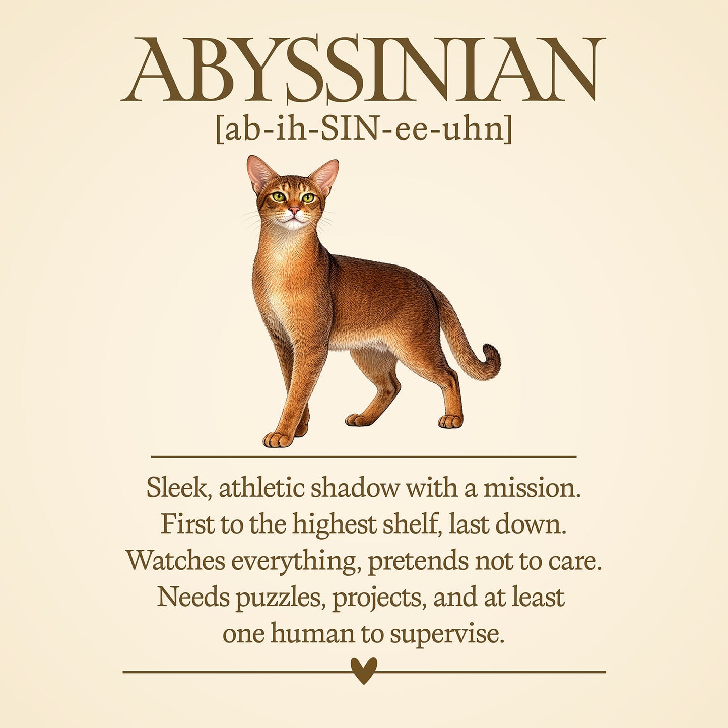Abyssinian Definition T-Shirt – Cat Chronicles