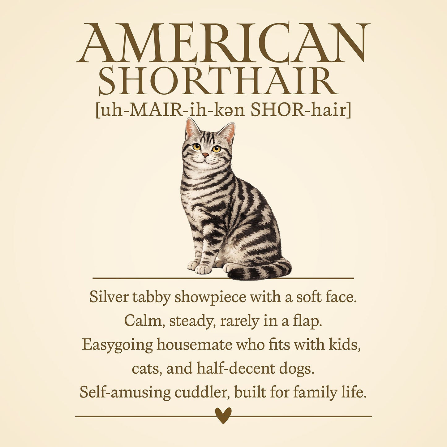 American Shorthair Definition T-Shirt -  Cat Chronicles