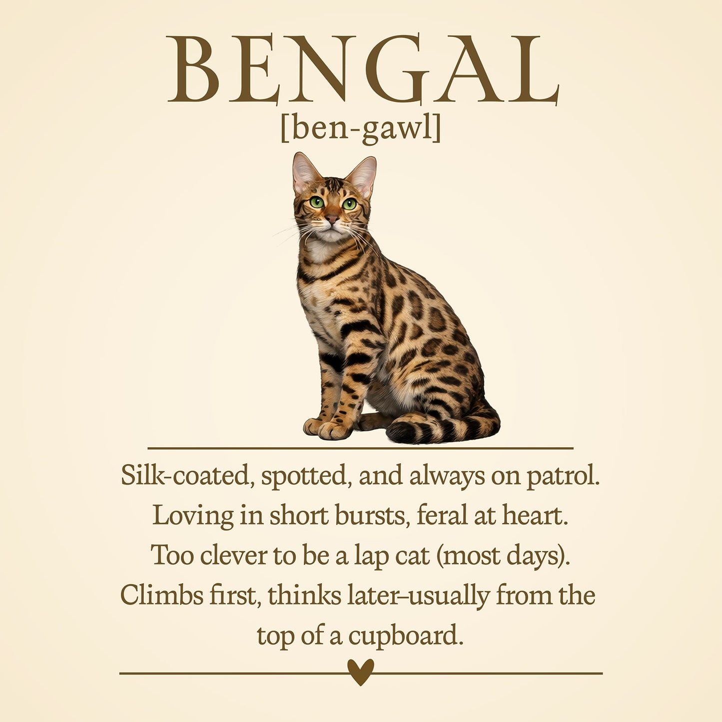 Bengal Definition T-Shirt – Cat Chronicles