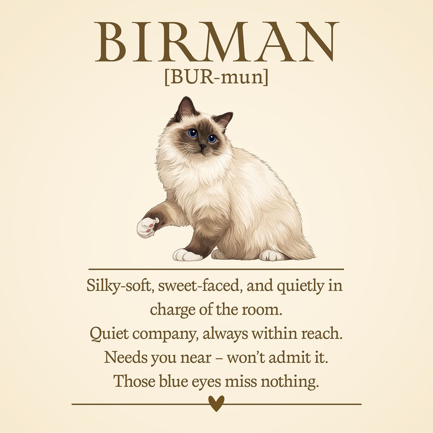 Birman Definition T-Shirt – Cat Chronicles
