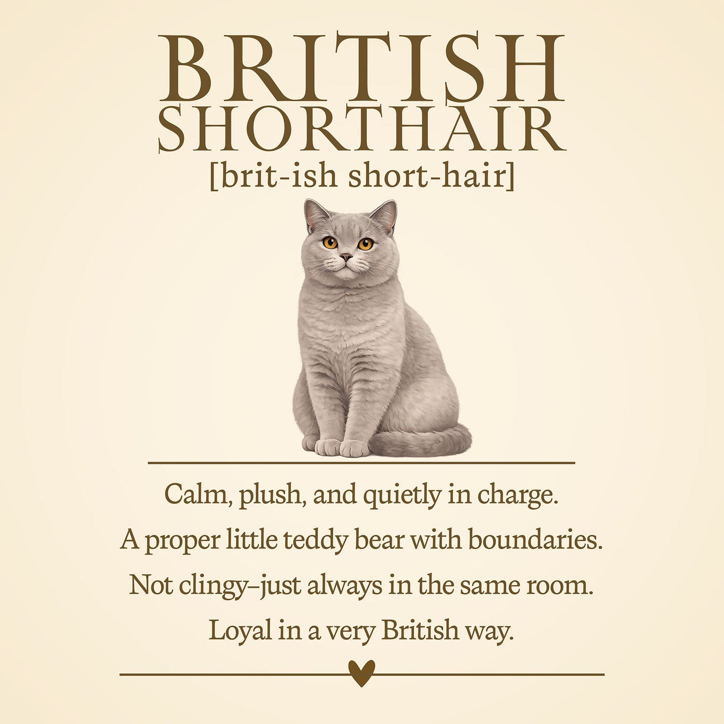 British Shorthair Definition T-Shirt - Cat Chronicles