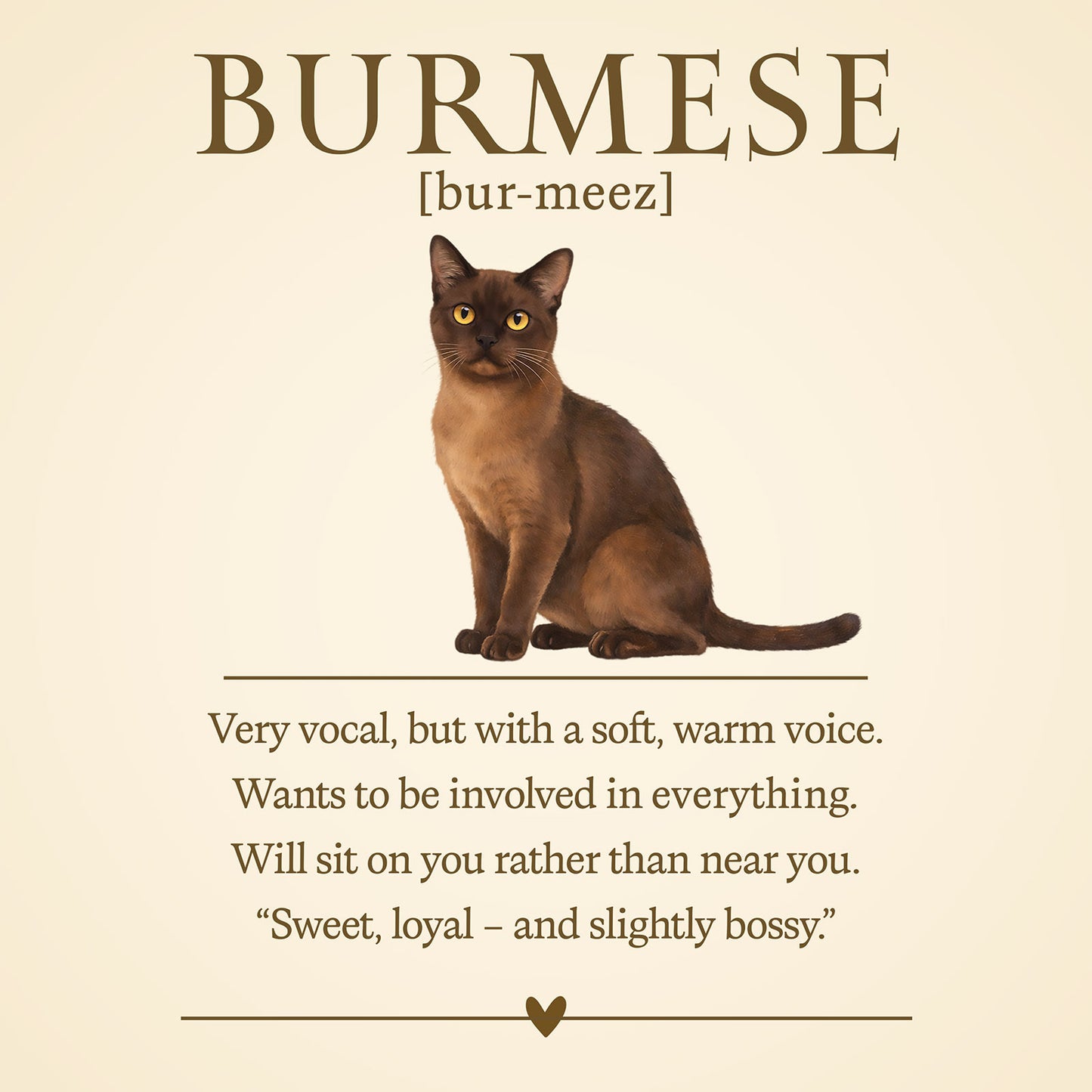 Burmese Definition T-Shirt – Cat Chronicles