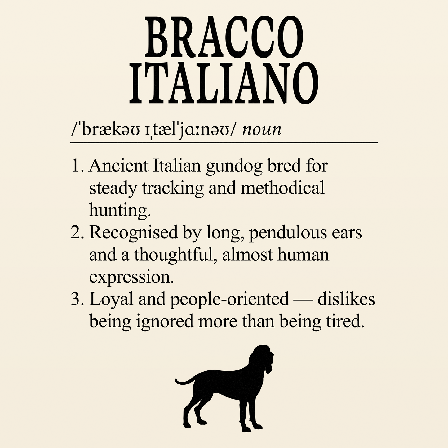 Bracco Italiano Definition T-Shirt Dictionary Dogs Collection
