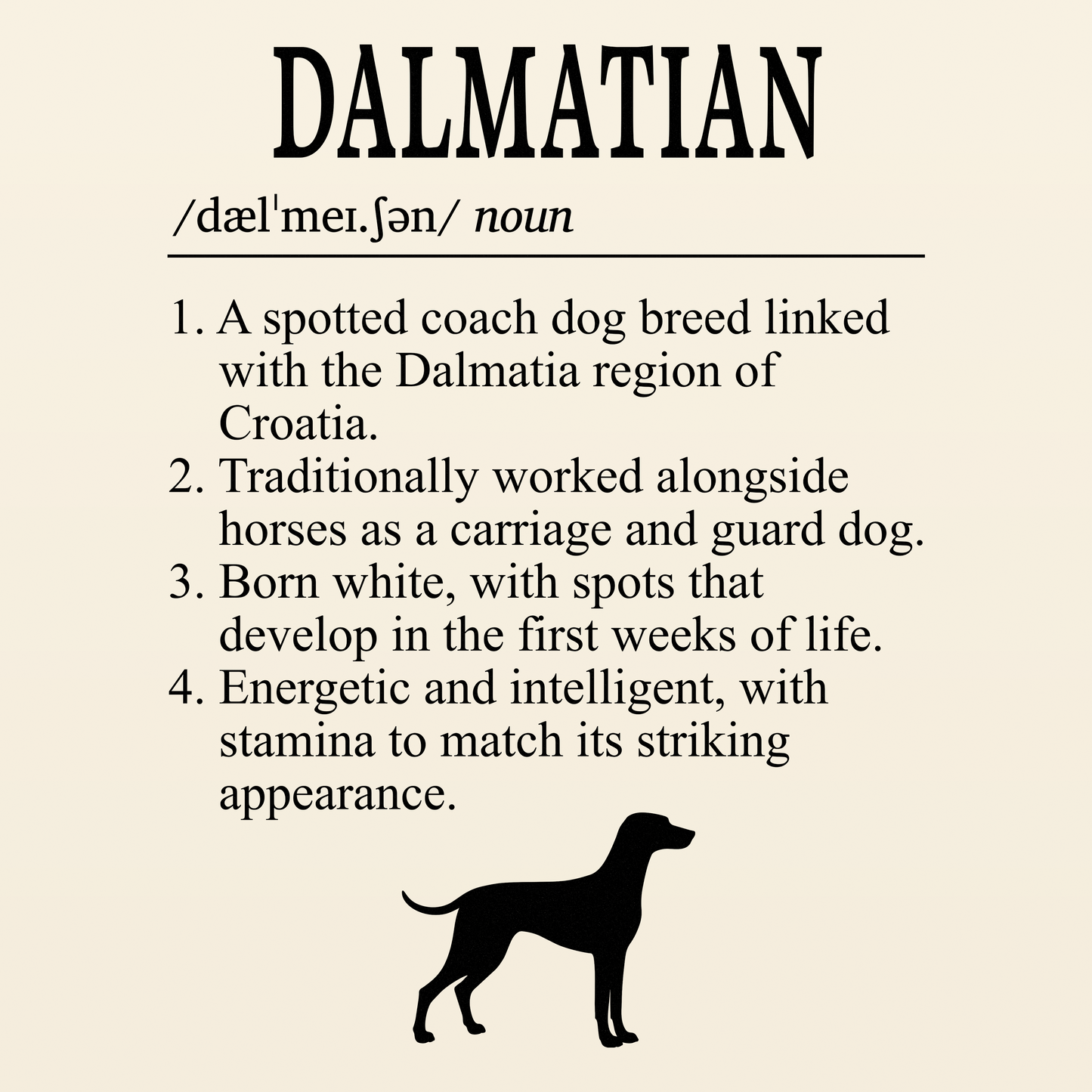 Dalmatian Definition T-Shirt Dictionary Dogs Collection