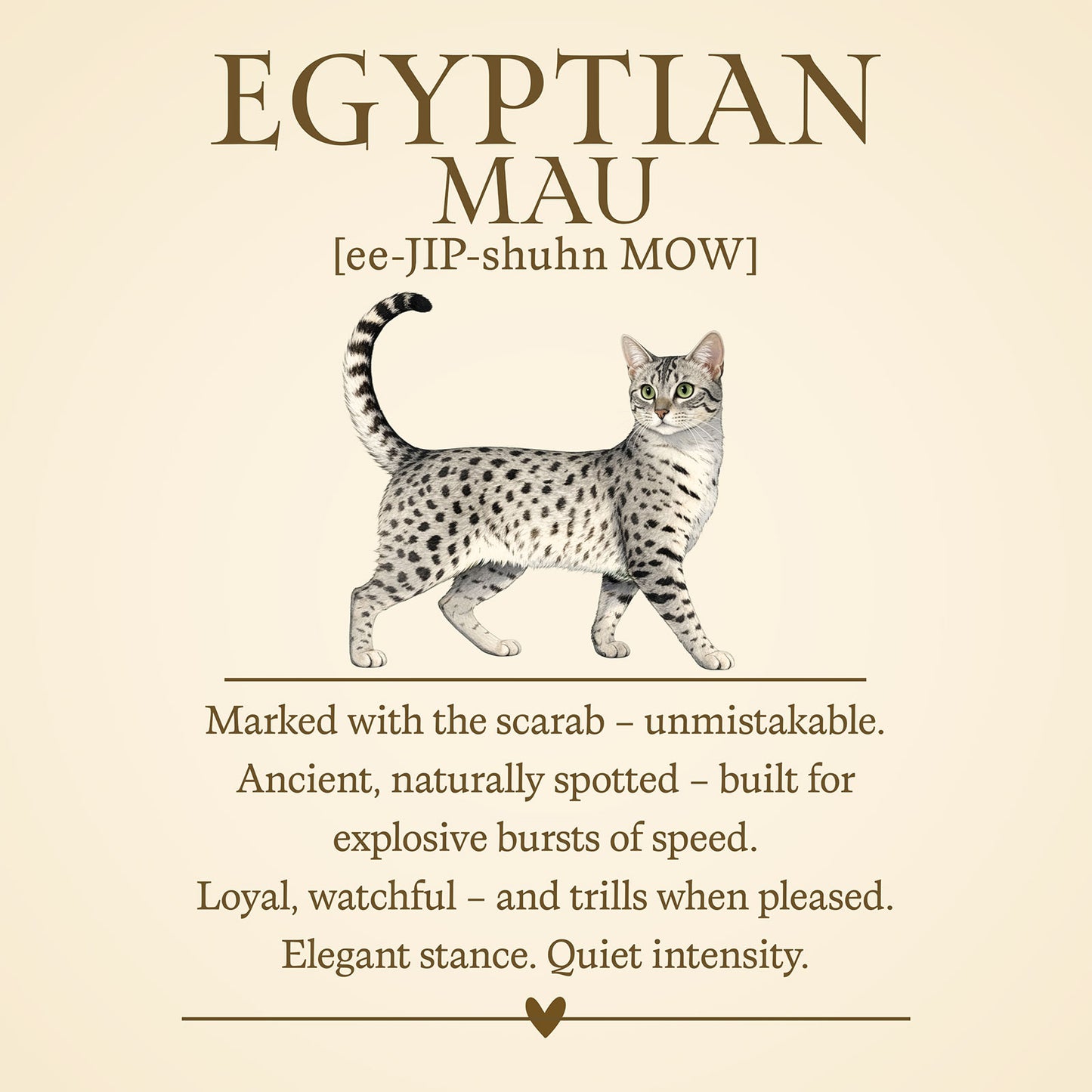 Egyptian Mau Definition T-Shirt – Cat Chronicles