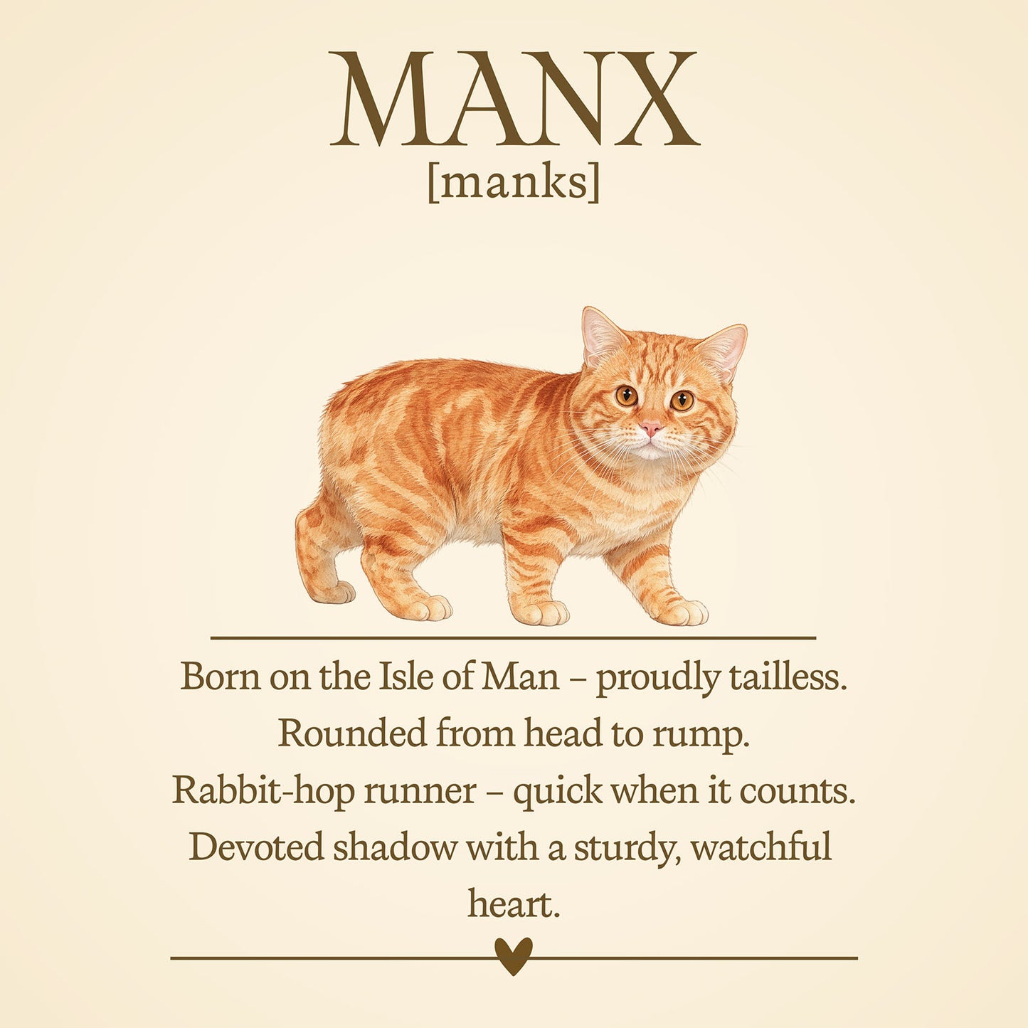 Manx Definition T-Shirt – Cat Chronicles