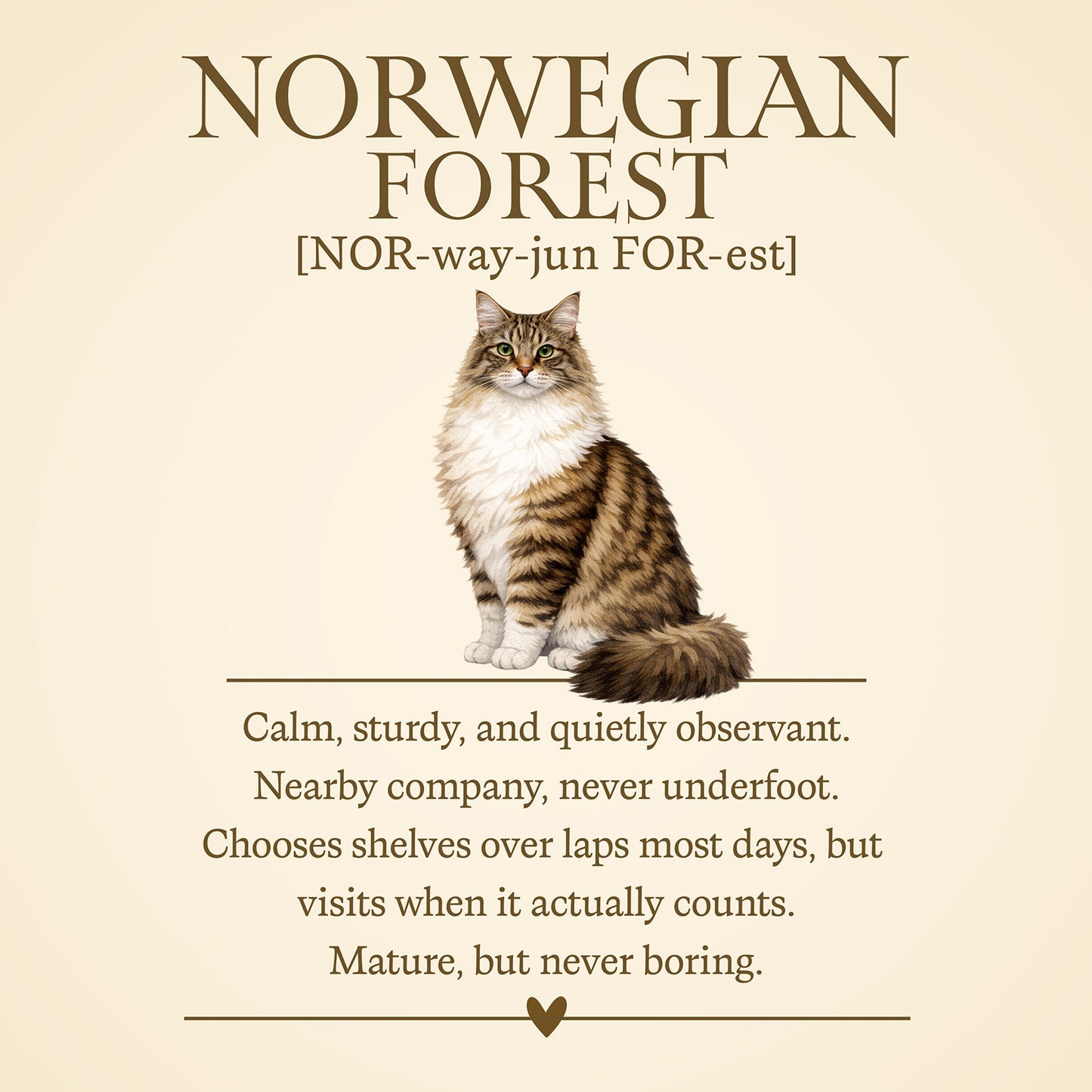 Norwegian Forest Definition T-Shirt - Cat Chronicles