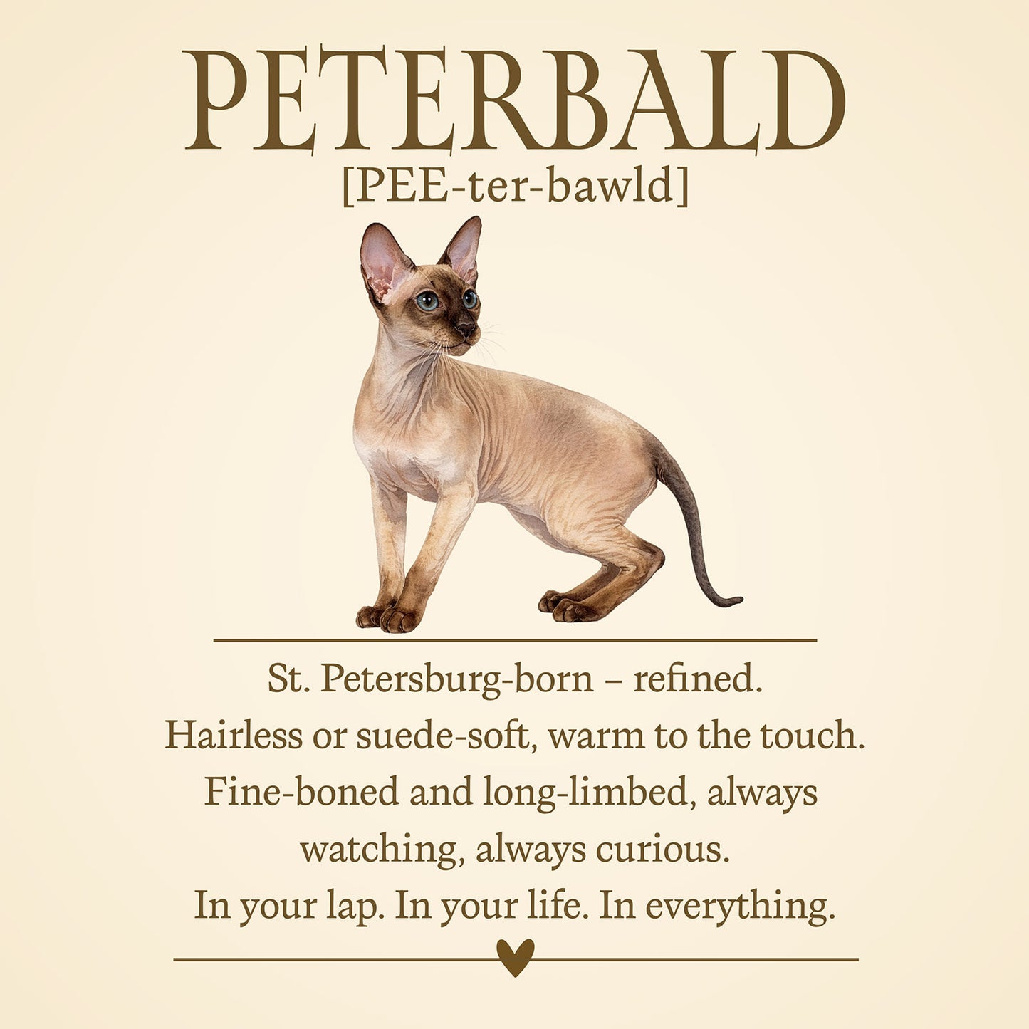 Peterbald Definition T-Shirt – Cat Chronicles