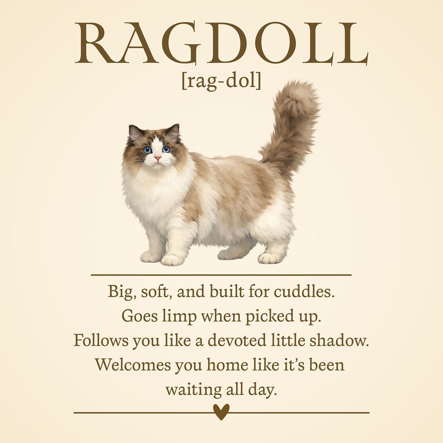 Ragdoll Definition T-Shirt – Cat Chronicles