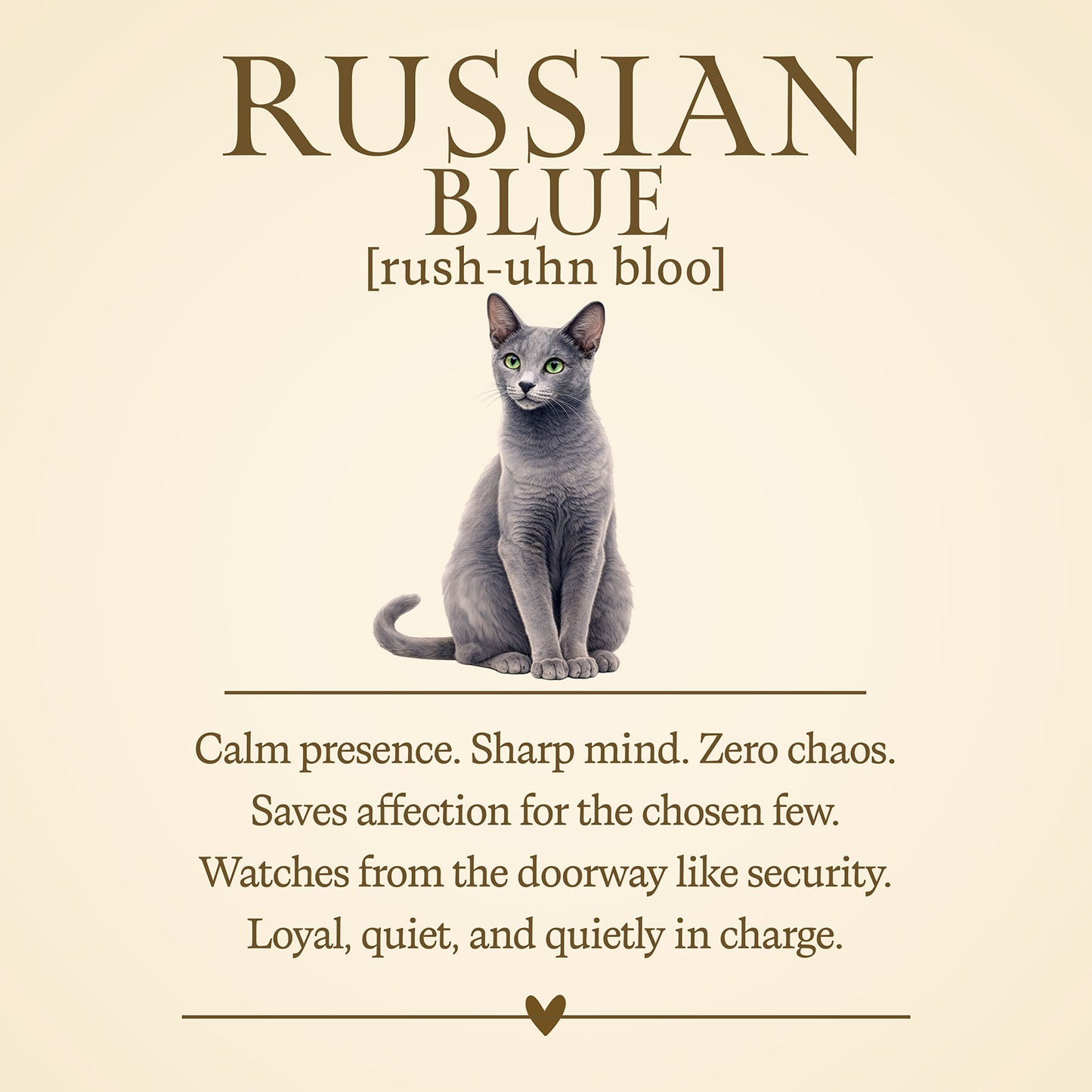 Russian Blue Definition T-Shirt – Cat Chronicles