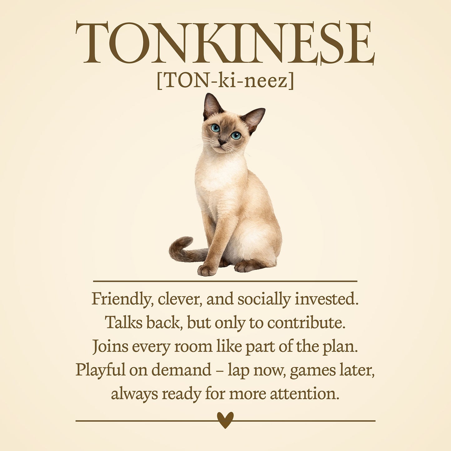 Tonkinese Definition T-Shirt – Cat Chronicles