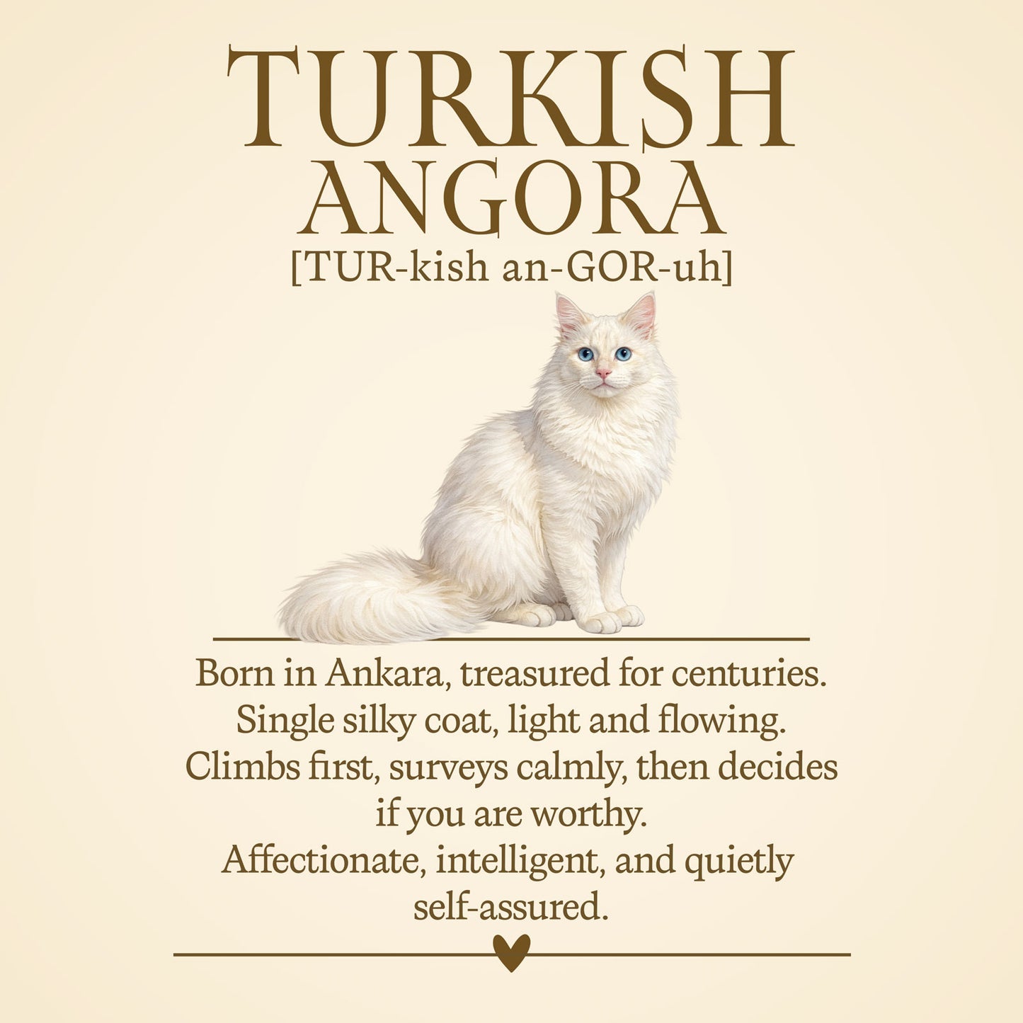 Turkish Angora Definition T-Shirt – Cat Chronicles